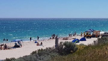 Summer Newsletter - 2018